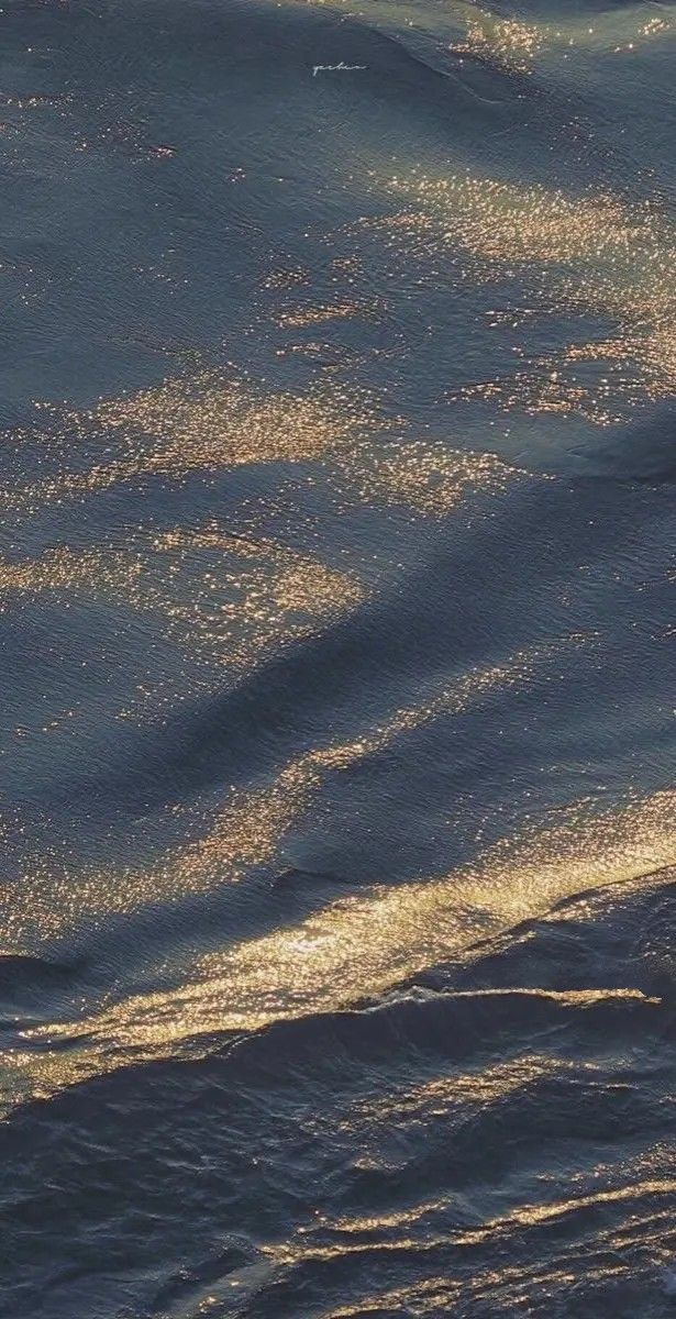 Holistic nutrition and lifestyle wellness